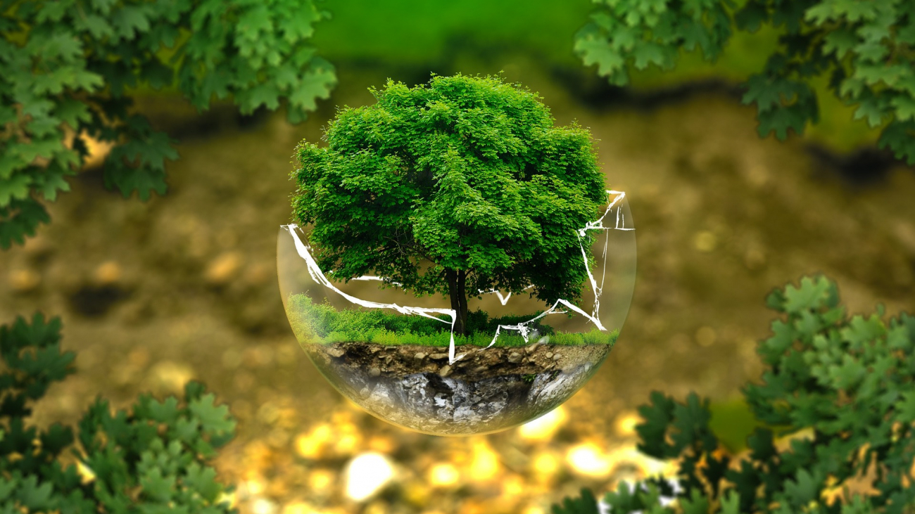 environmental-protection-326923_1920