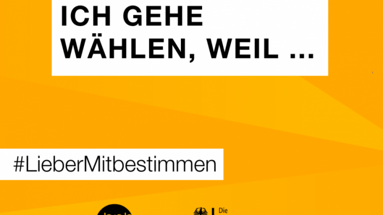 785563_galerie_lightbox_box_1000x666