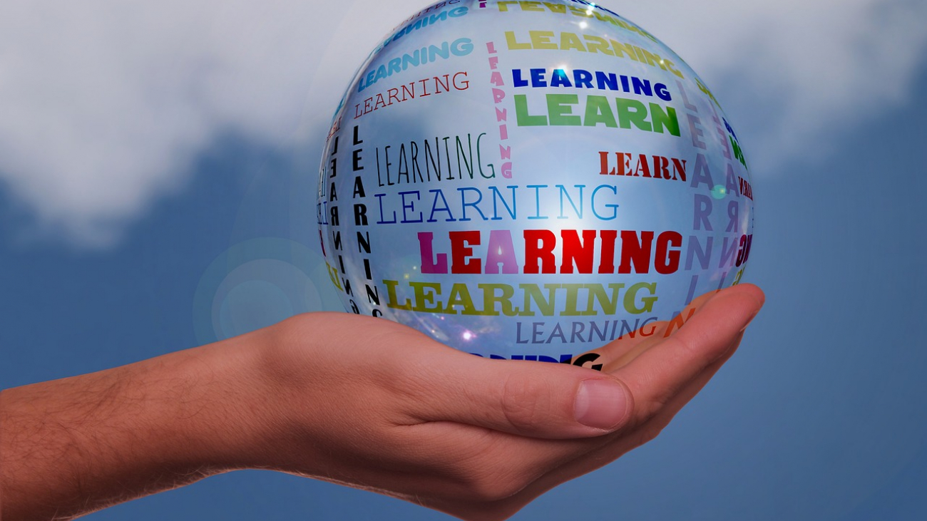 adult-education-3812693_1280