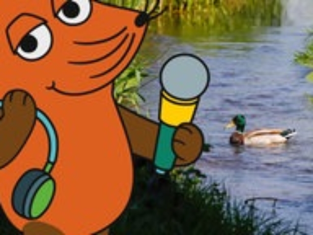 zoom-feuchtgebiete-100~_v-ARDAustauschformat