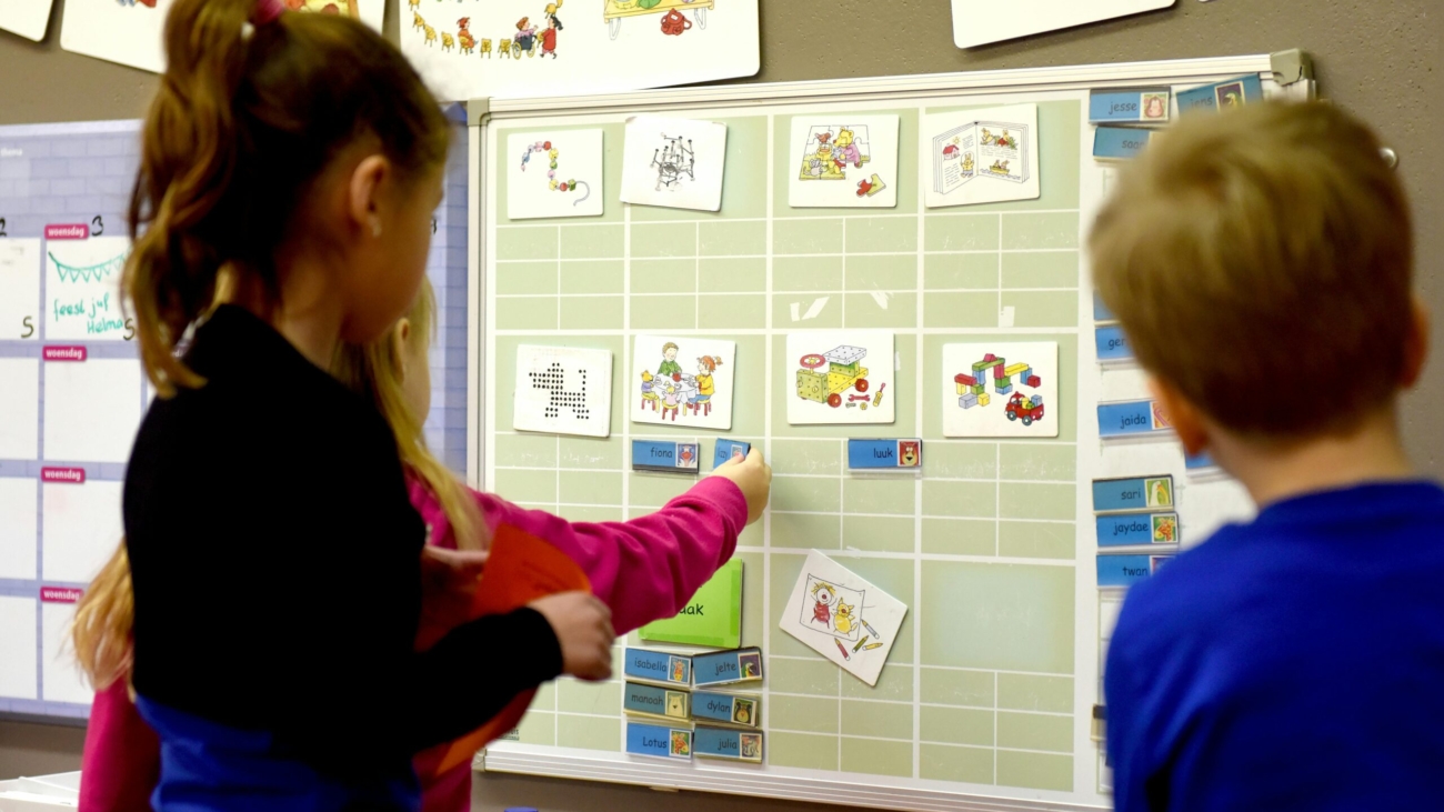 pexels-artstel-4935997